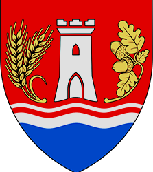 FINANCIJSKO IZVJEŠĆE O TROŠKOVIMA IZBORA ZA VIJEĆA I  PREDSTAVNIKE NACIONALNIH MANJINA U OPĆINI GARČIN