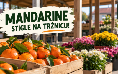 Svježe mandarine stigle na tržnicu u Garčinu – poziv kupcima i lokalnim proizvođačima!